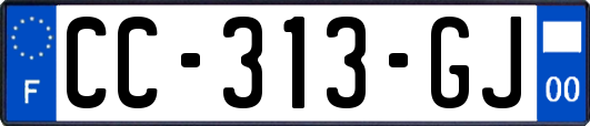 CC-313-GJ
