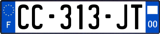CC-313-JT