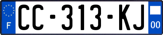 CC-313-KJ