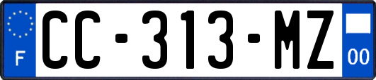 CC-313-MZ