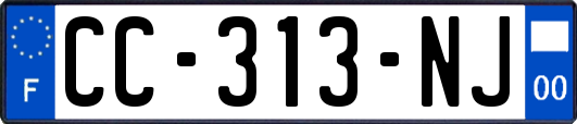 CC-313-NJ