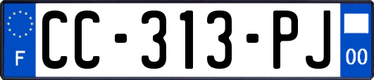 CC-313-PJ