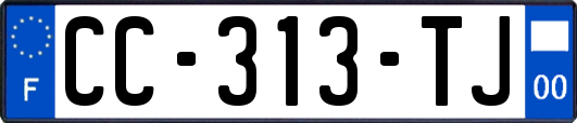 CC-313-TJ