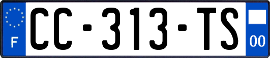 CC-313-TS