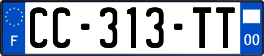 CC-313-TT