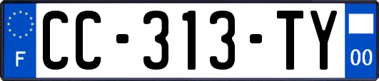 CC-313-TY