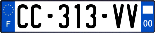 CC-313-VV