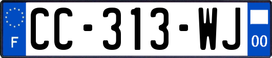 CC-313-WJ