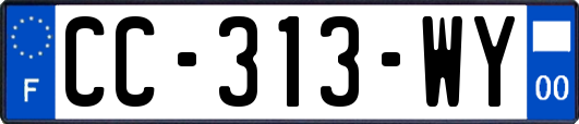 CC-313-WY