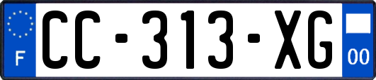 CC-313-XG