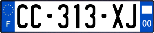 CC-313-XJ