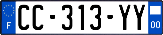 CC-313-YY
