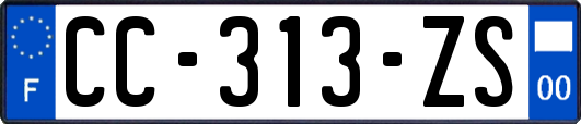 CC-313-ZS