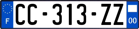 CC-313-ZZ