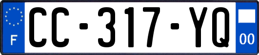 CC-317-YQ