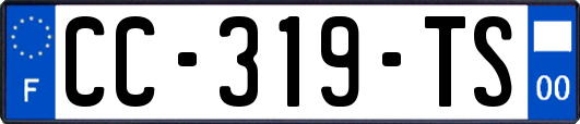 CC-319-TS
