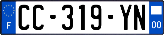 CC-319-YN