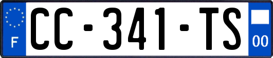 CC-341-TS