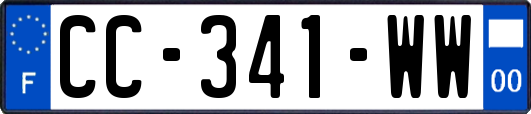 CC-341-WW