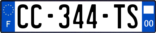 CC-344-TS