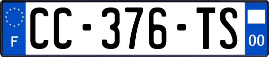 CC-376-TS