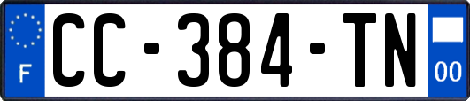 CC-384-TN
