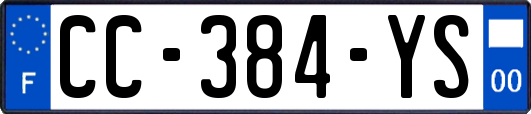 CC-384-YS