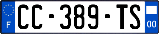 CC-389-TS