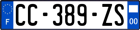 CC-389-ZS