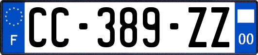 CC-389-ZZ