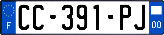 CC-391-PJ