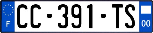CC-391-TS