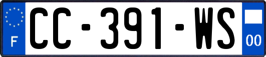 CC-391-WS