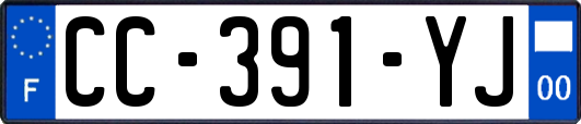 CC-391-YJ