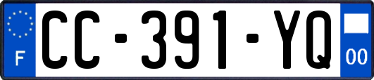 CC-391-YQ