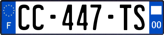 CC-447-TS