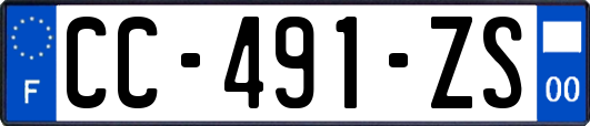 CC-491-ZS