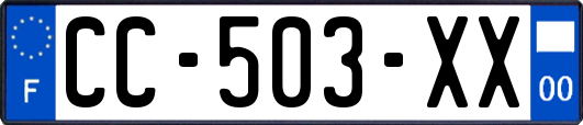 CC-503-XX