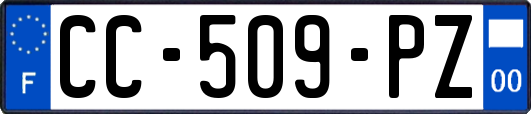 CC-509-PZ