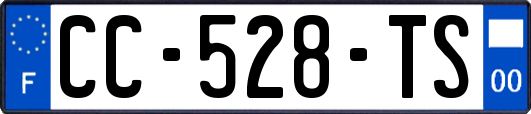 CC-528-TS