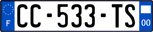 CC-533-TS