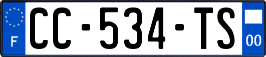 CC-534-TS