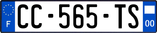 CC-565-TS