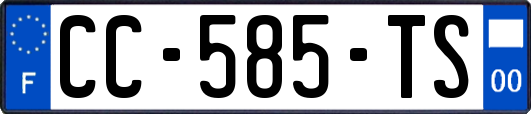 CC-585-TS