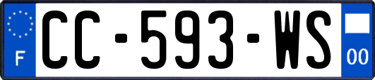 CC-593-WS