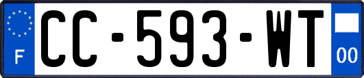 CC-593-WT