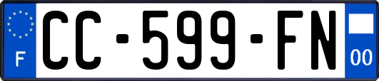 CC-599-FN