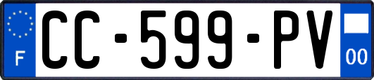 CC-599-PV