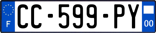 CC-599-PY