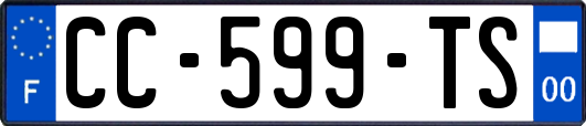 CC-599-TS
